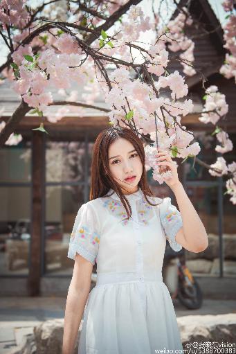 献鱼电视剧免费观看完整版