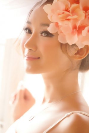 书卷一梦电视剧免费观看