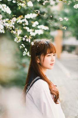 办公室3在线观看免费播放电视剧