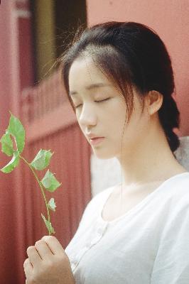 鲁鲁影院电视剧免费观看最新章节