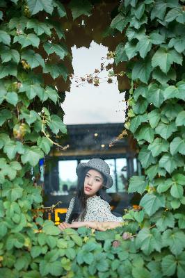 甄嬛传全集电视剧在线观看免费