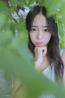 国产免费完整高清电视剧在线看倚天