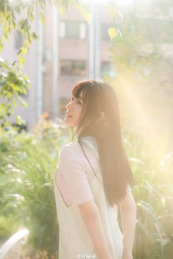 2026正版资料大全免费