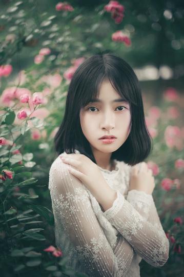 对手电视剧免费观看完整版高清