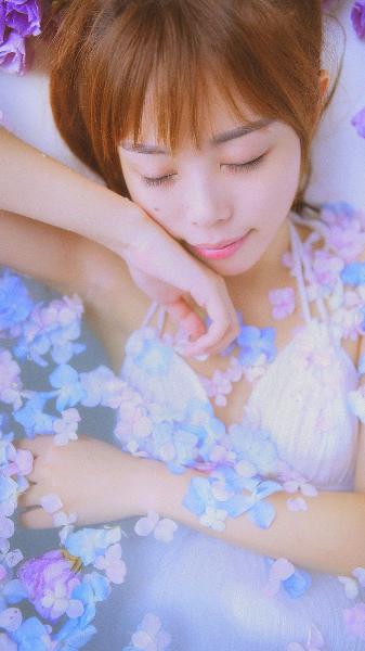 半是蜜糖半是伤免费观看全集完整版