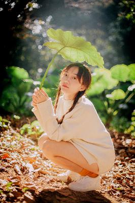 北上电视剧免费观看全集完整版