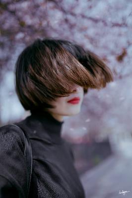 一起来看流星雨