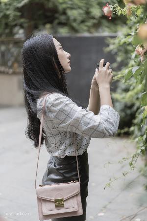 影视版权申请流程及费用