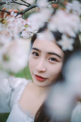 伪装者电视剧全集免费观看