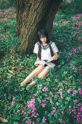 喜羊羊与灰太狼