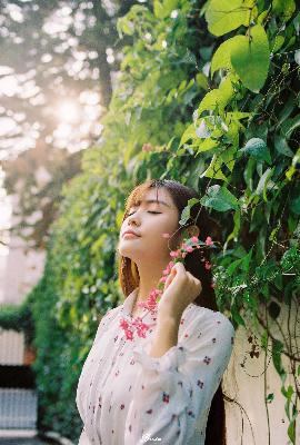 朱元璋电视剧全集免费观看