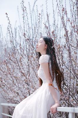 甄嬛传全集电视剧在线观看免费