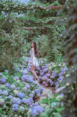 牧神记免费观看全集