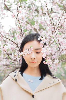 霜花店电影在线观看免费高清版