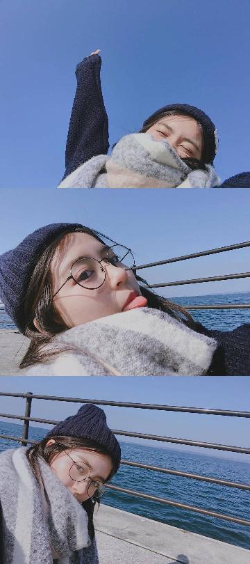 黄雀电视剧全集免费观看高清版