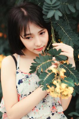 熊出没之神奇宝物