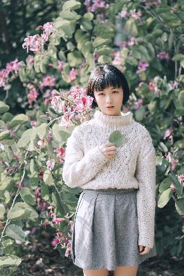 中文在线观看免费观看电视剧全集